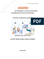 Formato Accidente Analisis Causal Deber