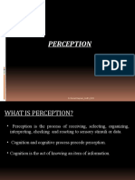 Perception Intro