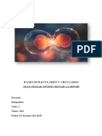 Bases Moleculares y Celulares Practica #2 Biología Otro