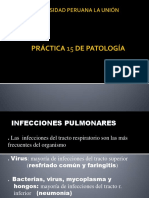 Practica Patología 15