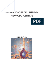 Generalidades Del Sistema Nervioso Central