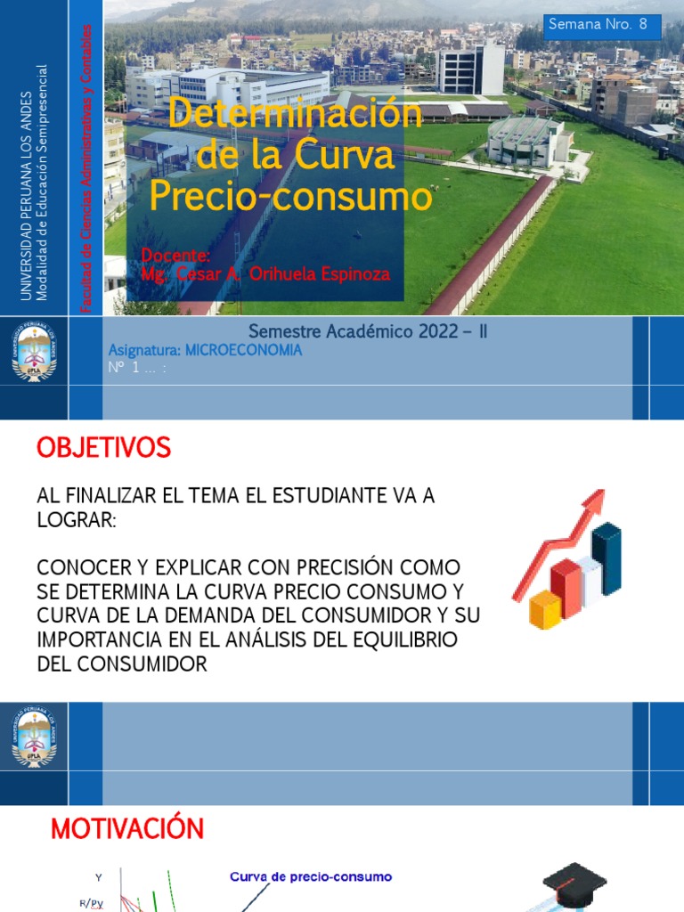 Determinación de la Curva Precio-Consumo | PDF | Oferta y demanda ...