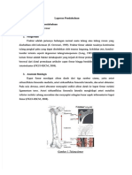 PDF LP Fraktur Collum Femur DD