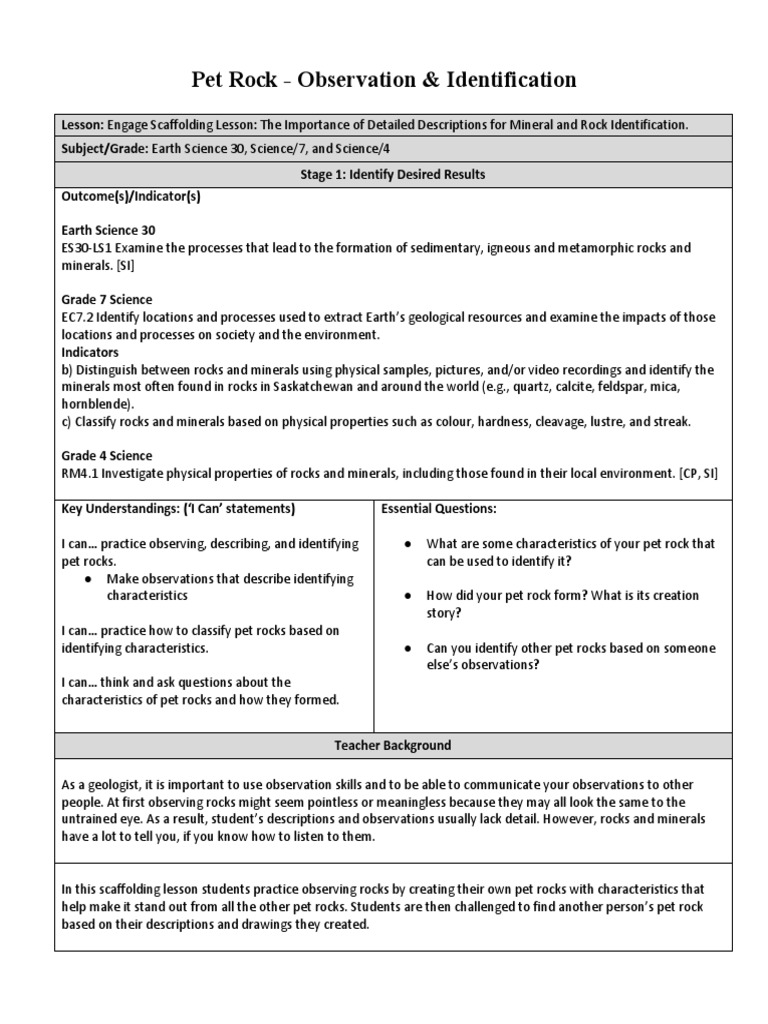 Pet Rock PDF Rock (Geology) Minerals