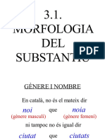 3.1. Morfologia Del Substantiu