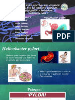Sala1-Helicobacter Pylori