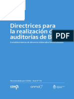 Anmat-Directrices Realizacion de Auditorias 02 DG