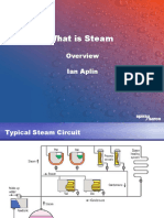 What Is Steam - Dec 2006