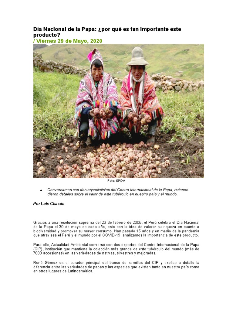 Plan Lector - Dia de La Papa | PDF | Patata | Nutrición