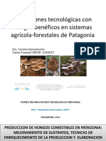 Aplicaciones Tecnológicas Con Hongos Benéficos en Sistmeas Agrícola Forestales de Patagonia C. Barroetaveña