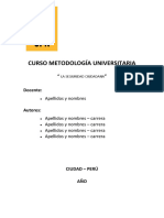 Seguridad Ciudada