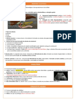 Síndrome colestática: causas e abordagem