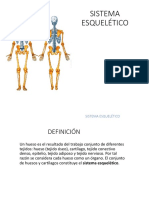 Morfologia de Sistema Esqueletico Final