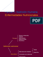 Nutrición Humana y Enfermedades Nutricionales