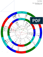 Consult or I A 18102022 Natal Progressed Bi Wheel