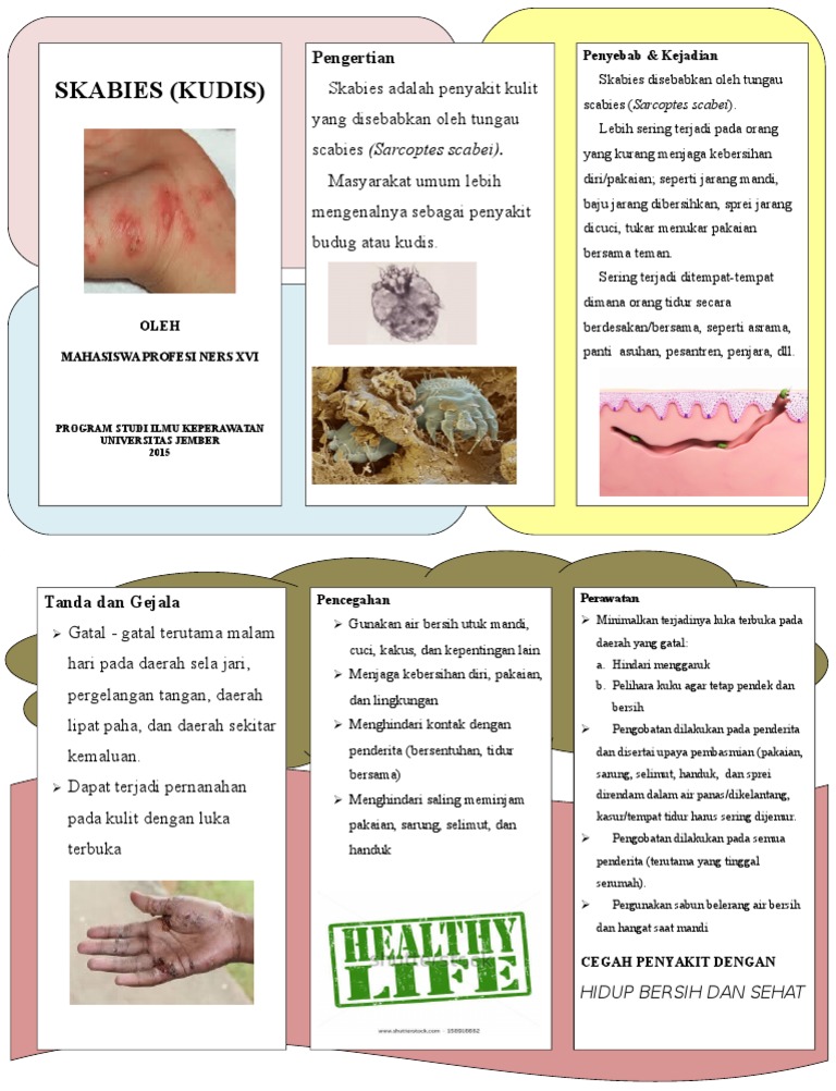 Leaflet Scabies | PDF