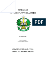 Makalah Filum Platyhelmithes