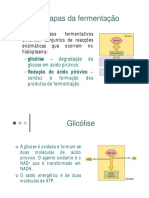 Etapas de Fermentação