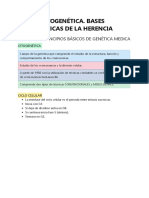 Tema 2 Citogenética. Bases Citogenéticas de La Herencia.