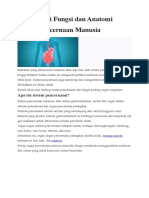 Fungsi Dan Anatomi Sistem Pencernaan Manusia