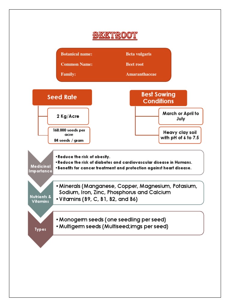 Beet Root Documents New PDF