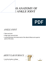 Gross Anatomy of The Ankle Joint PBL