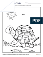 Color The Nouns Turtle