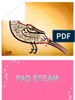 PAD STEAM MACHINE
