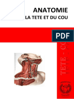 Anatomie de La Tête Et Du Cou
