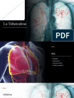 La Tuberculose