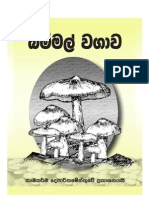 බිමි මල් වගාව