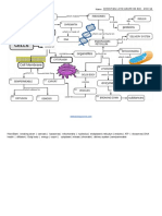 Cell Graphic Organizer - Arupe