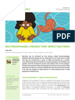 Bacteriophages Viruses That Infect Bacteria