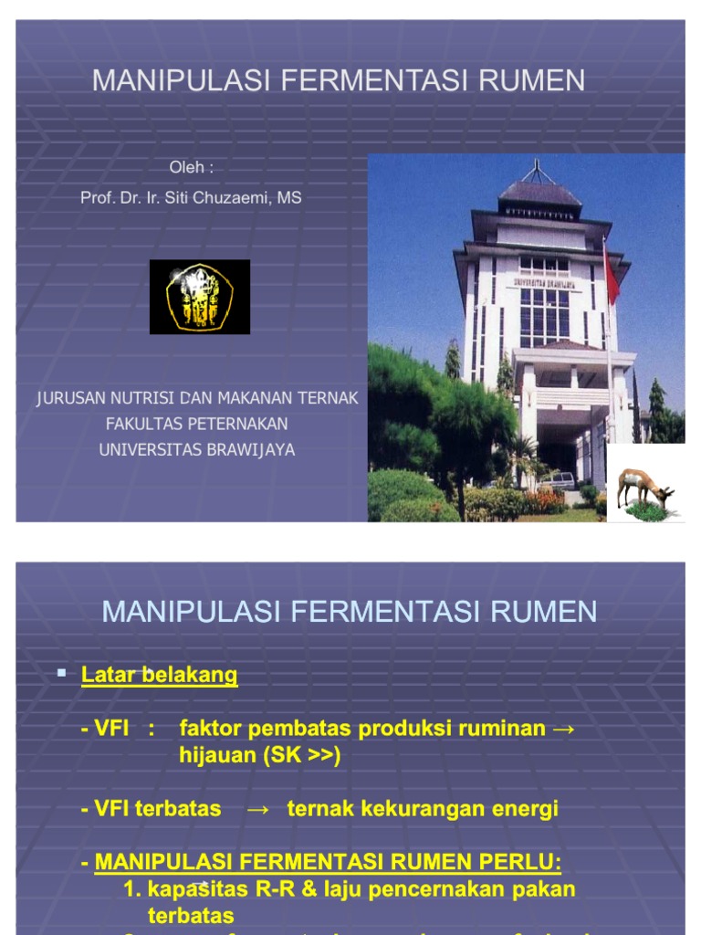 Manipulasi Fermentasi Rumen | PDF