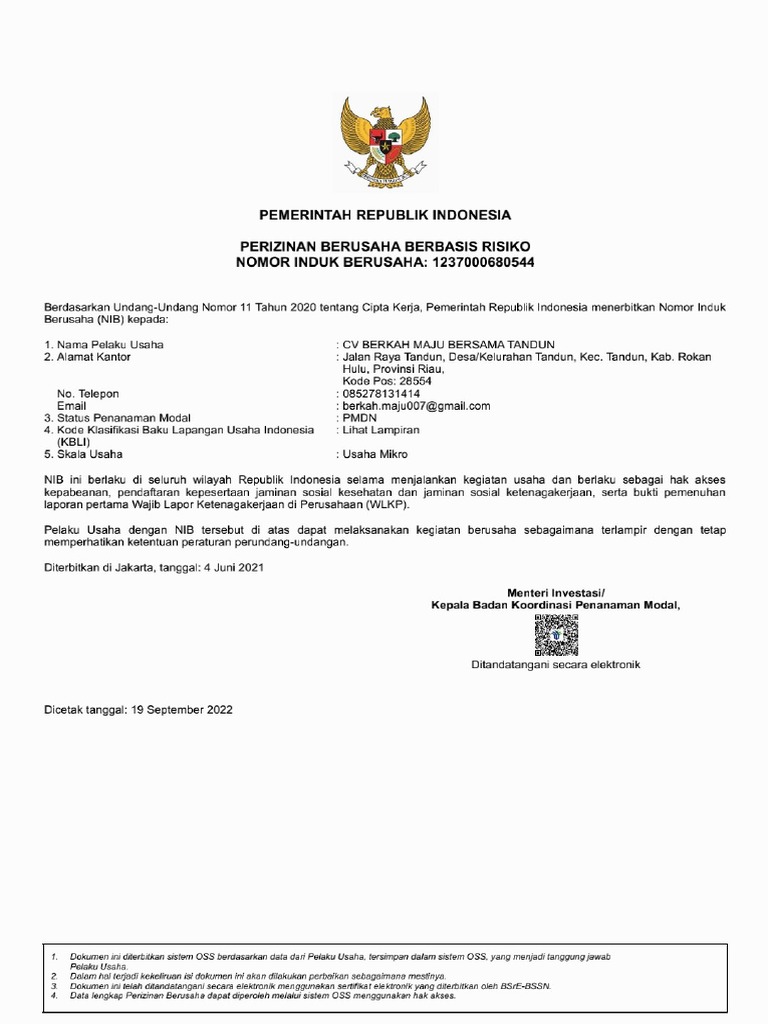 NIB RBA Dan Sertifikat Standar | PDF