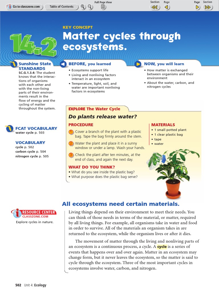 Matter Cycles Through Ecosystems. Do Plants Release Water? PDF