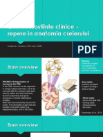 c2 - Repere În Anatomia Creierului