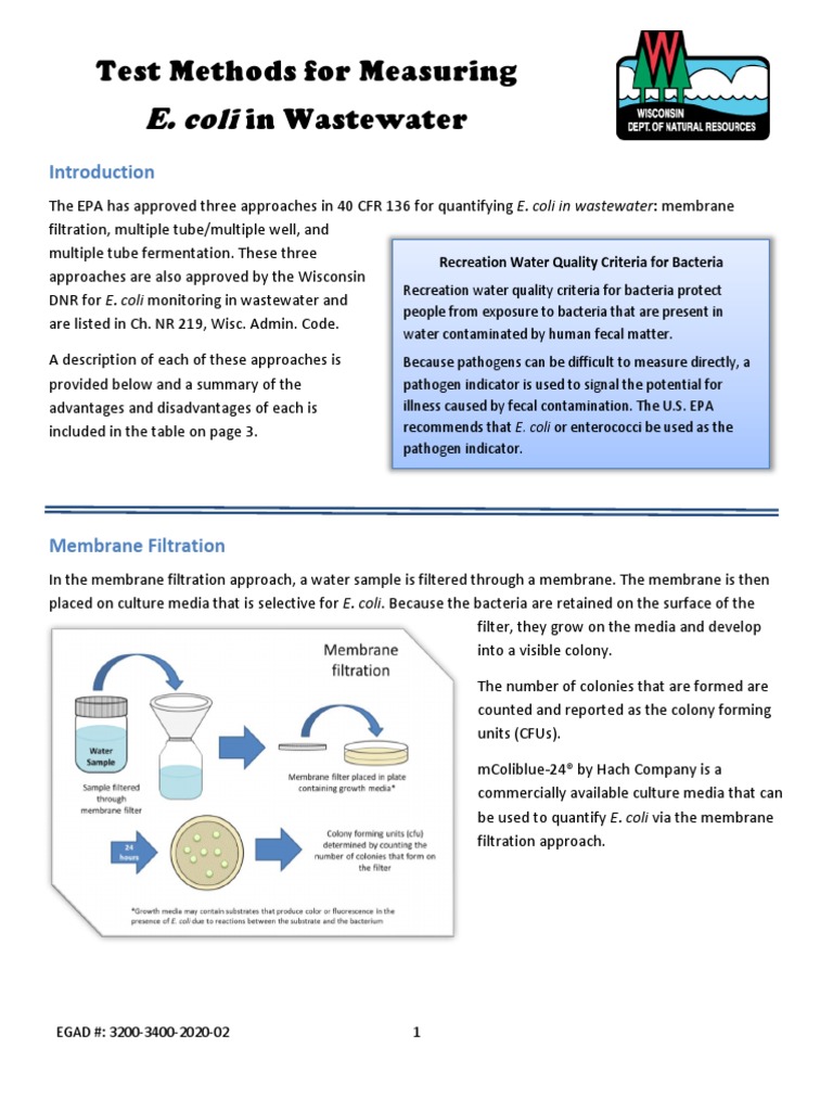 WDNR 2020 Bacteria Fact Sheet E Coli Test Methods PDF Water Quality