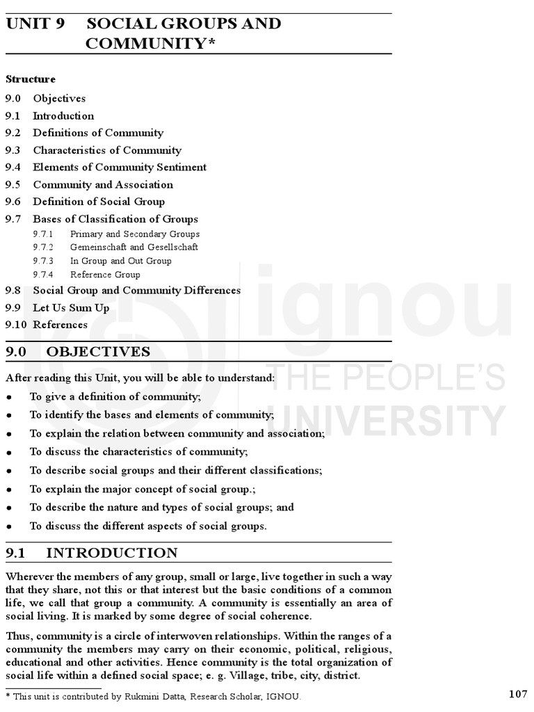 Social Groups And Community Pdf Community Social Group