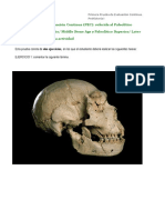 PEC Prehistoria I