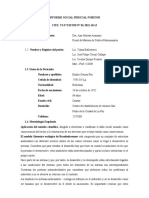 Formato Informe Social Pericial Limpio