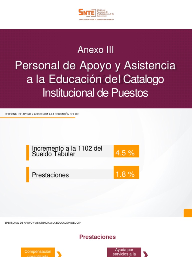 Anexo Iii - Paae Snte56 | PDF