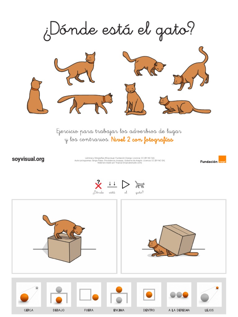 Donde Esta El Gato Nivel 2 Fotos Preposiciones PDF Sintaxis