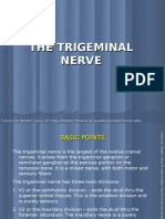 The Trigeminal Nerve