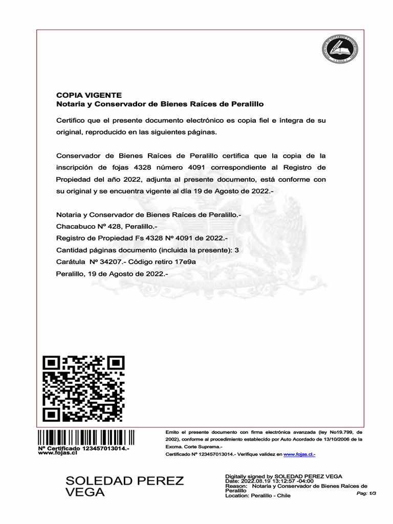 dfdsg-pdf