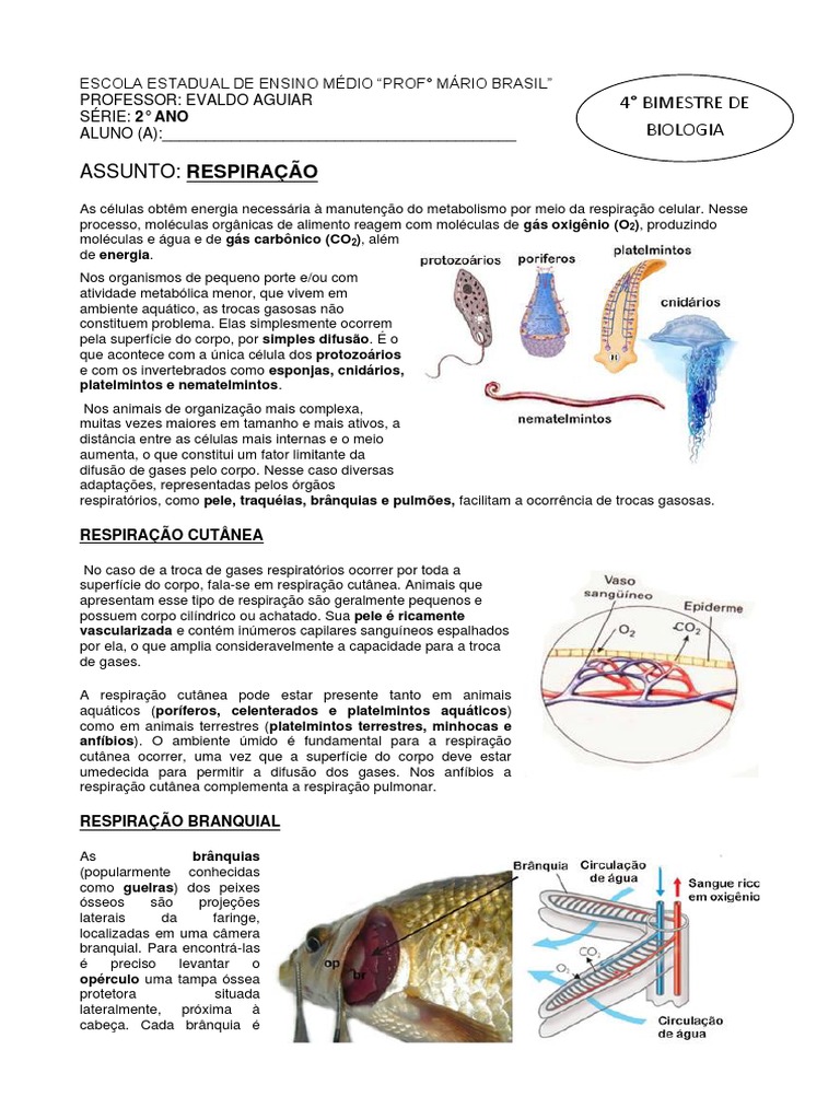 A situação dos animais na natureza, image size:768x1024