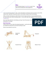 MiniPioneering 1