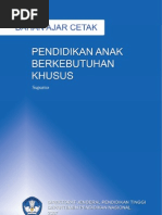 Pendidikan Anak Berkebutuhan Khusus