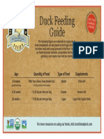 Scratch and Peck Feed Duck Feeding Guide November 2016