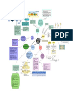 Mapa Conceptual Introduccion